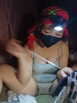 Hiha-nn webcam