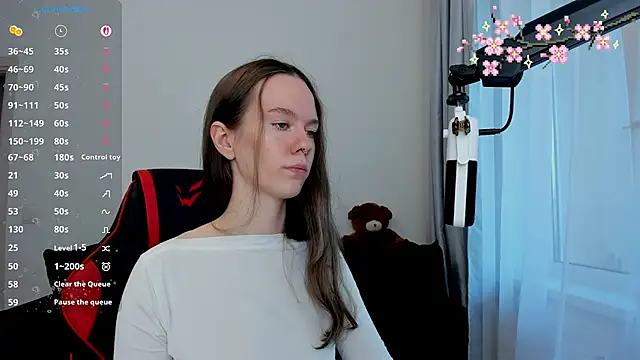 Vulgar_Tamer