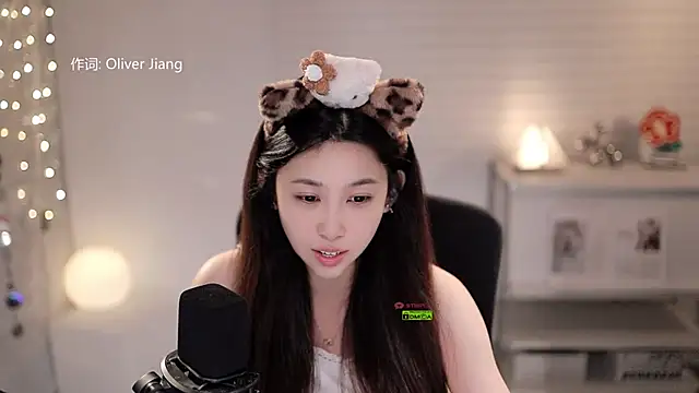 SleepArtist webcam