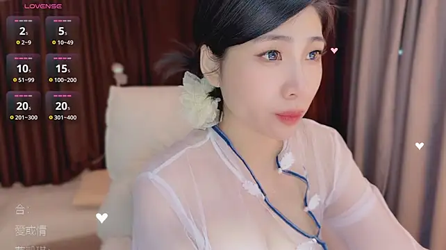 Vaidurya-Yolo webcam
