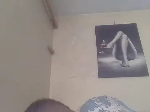 babyzillan webcam