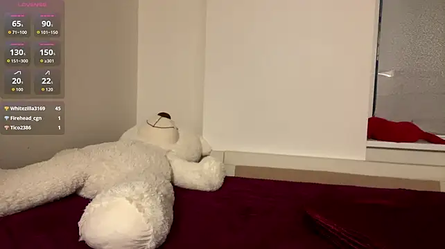 EvaKittys webcam