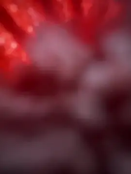 Majorcumlive webcam