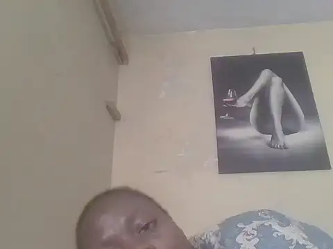babyzillan webcam