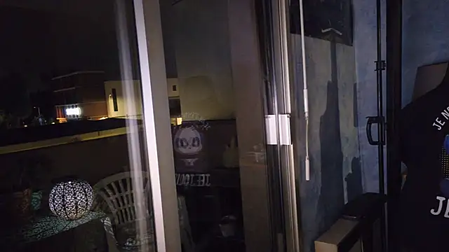 panda_06200 webcam