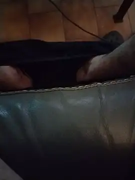 Philebranleur webcam