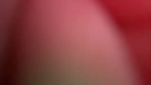 HeavingLip webcam