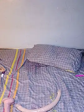 Midnight__Snack webcam