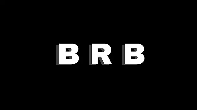 SelectedBrig webcam