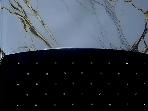 LunaVs webcam