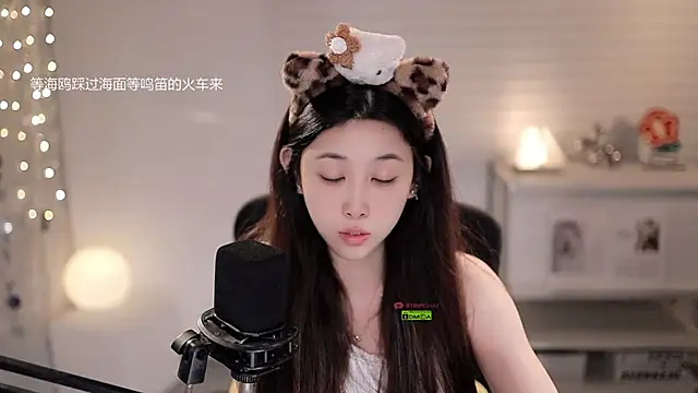 SleepArtist webcam