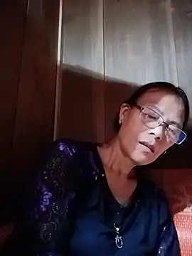 toyo_668 webcam