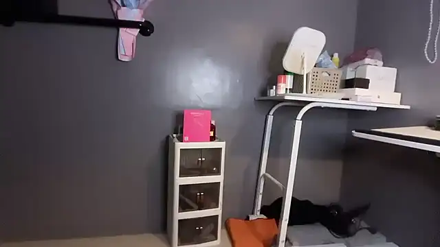 SomiXiu webcam