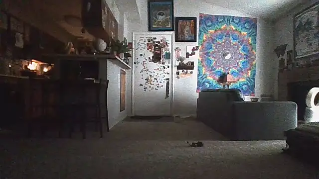 2attract webcam