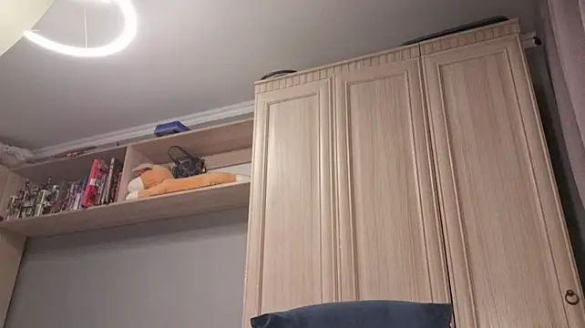 WoodPracice webcam