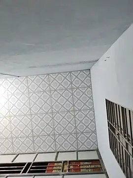 -Levy- webcam