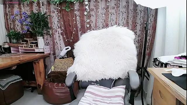 amysasa webcam