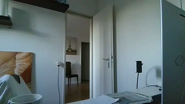 alpha-hunk webcam