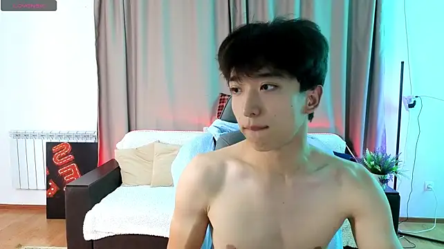 DianInav webcam