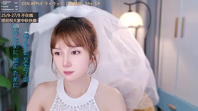 hi-AnAn webcam