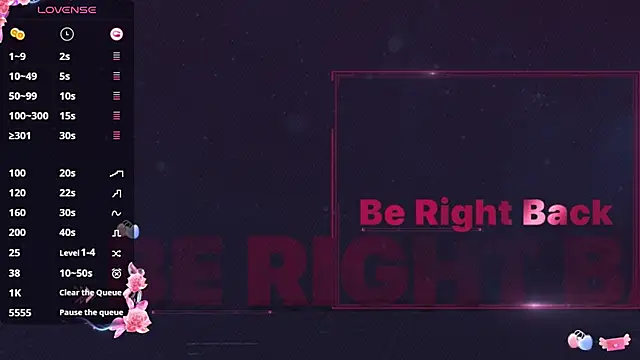 _flipped_ webcam