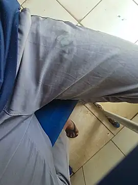VULPIX69 webcam