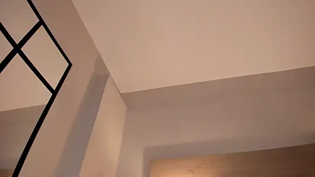 umji_ webcam