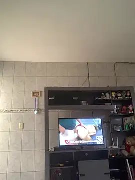 pircagg21 webcam