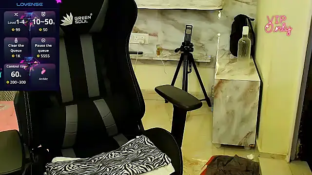 Silvershadde webcam