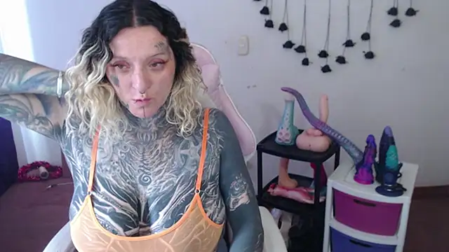 SLOPPYTITSS webcam