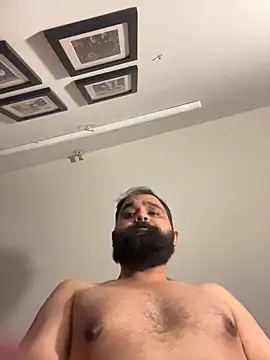 ThatBeardDude webcam