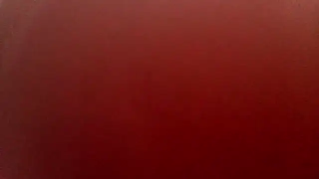 Abegail2221 webcam