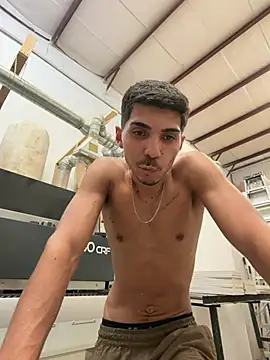 WavyAlloy30 webcam