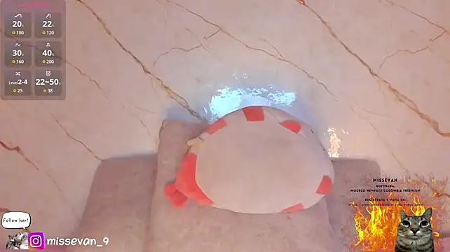 missevan webcam
