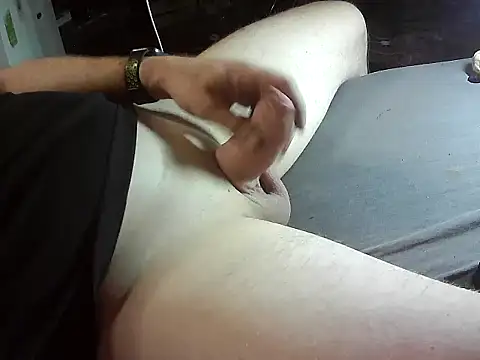 pivasek-czech webcam