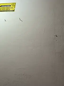 kimmy_fox_ webcam
