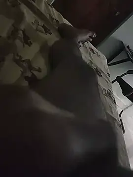 varama___567 webcam