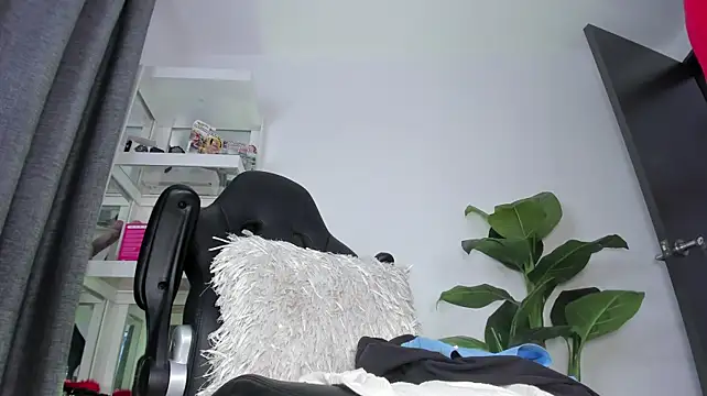 JeffDaltton webcam