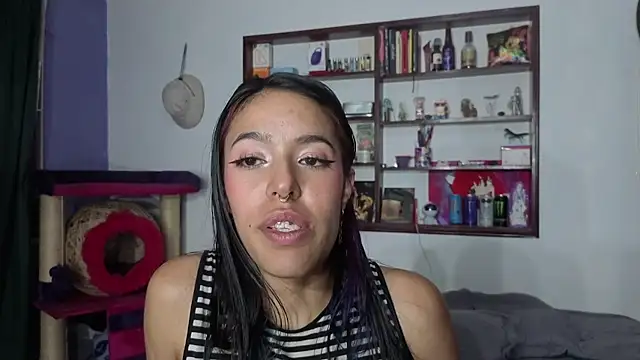 stephania_t