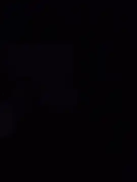 NederlandSchiedamCumDick