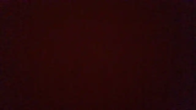 sdmsilver1983 webcam