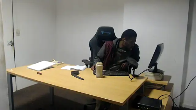 Mastertopdome webcam