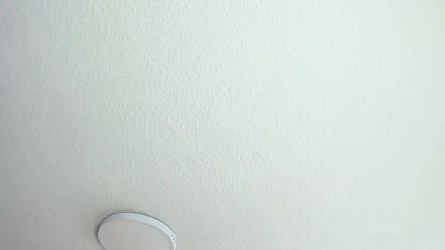 _Charlotte_Collins_ webcam