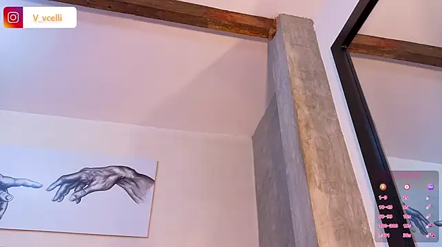 bella_vercelli webcam