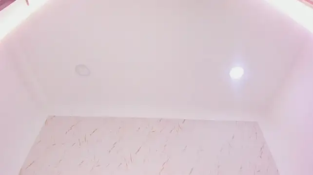DakkotaFox webcam