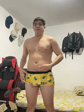 Fozil_Dvice webcam