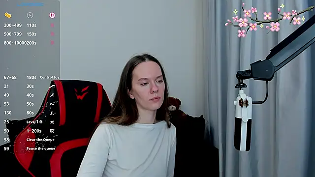 Vulgar_Tamer