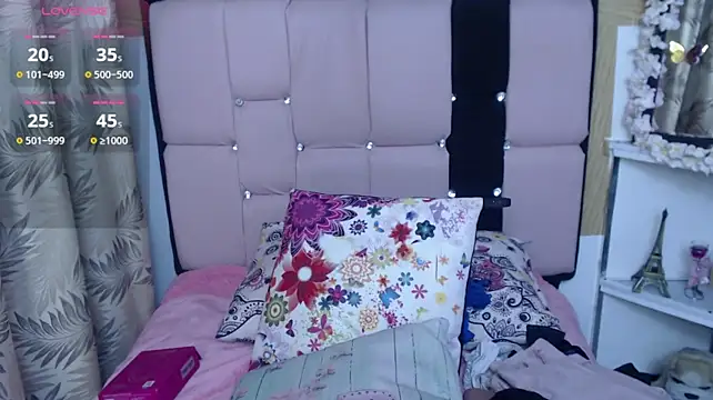palmer_mIix webcam