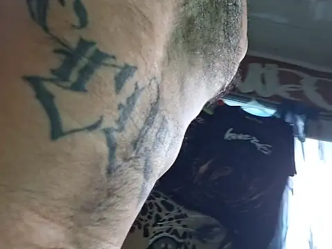 Toycockhot webcam
