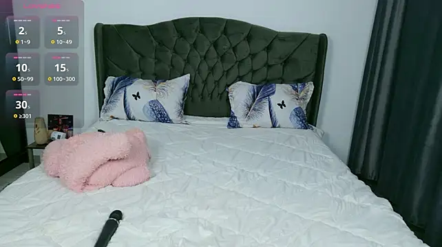 Nicol2Naya webcam